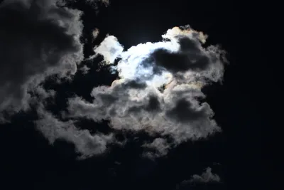 DSC_2277 (Large).JPG